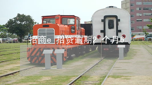 招商e招贷逾期2个月6 招商e招贷逾期2个月6