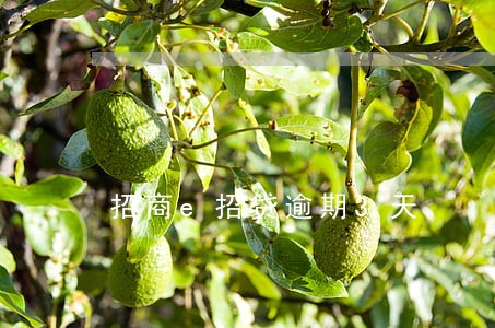 招商e招贷逾期3天 招商e招贷逾期3天