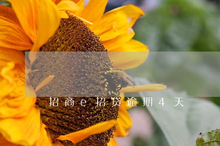 招商e招贷逾期4天 招商e招贷逾期4天
