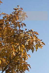 招商e招贷逾期6万 招商e招贷逾期6万