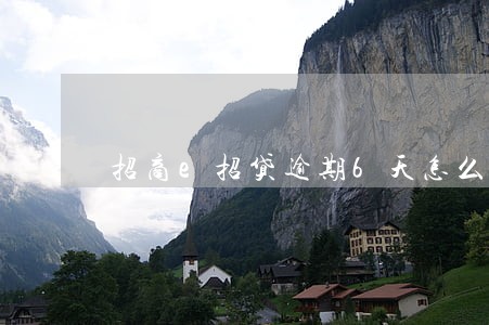 招商e招贷逾期6天怎么办 招商e招贷逾期6天怎么办