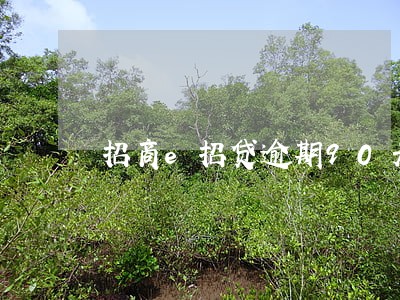 招商e招贷逾期90天 招商e招贷逾期90天