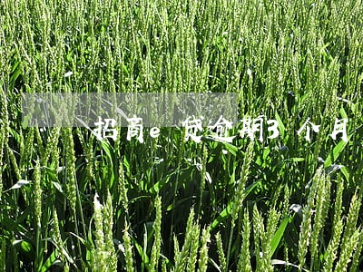 招商e贷逾期3个月