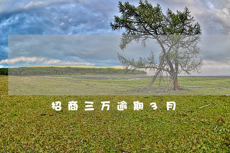 招商三万逾期3月 招商三万逾期3月