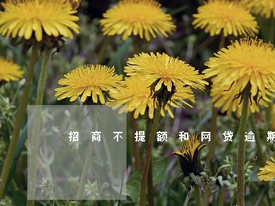 招商不提额和网贷逾期有关系么 招商不提额和网贷逾期有关系么