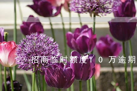 招商临时额度10万逾期 招商临时额度10万逾期