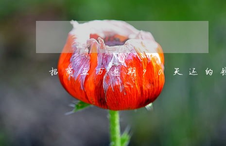 招商五万逾期90天还的钱 招商五万逾期90天还的钱