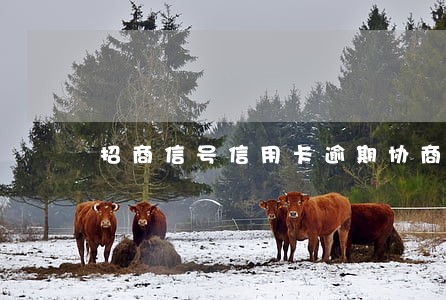 招商信号信用卡逾期协商 招商信号信用卡逾期协商