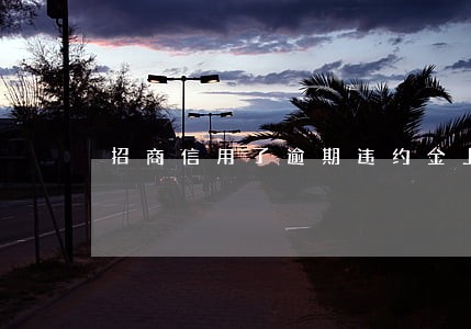 招商信用了逾期违约金上限 招商信用了逾期违约金上限