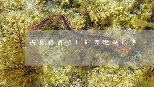 招商信用卡18万逾期1年 招商信用卡18万逾期1年