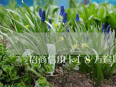招商信用卡18万逾期3个月 招商信用卡18万逾期3个月