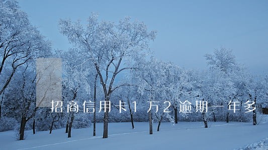 招商信用卡1万2逾期一年多 招商信用卡1万2逾期一年多