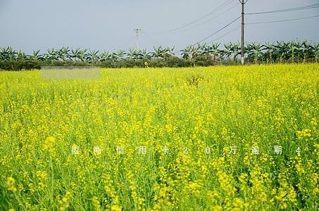 招商信用卡20万逾期4个月 招商信用卡20万逾期4个月