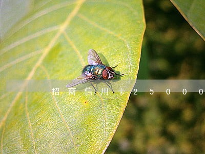招商信用卡25000逾期 招商信用卡25000逾期