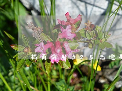 招商信用卡25元逾期款 招商信用卡25元逾期款