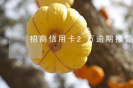 招商信用卡2万逾期报警抓人 招商信用卡2万逾期报警抓人