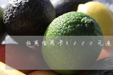 招商信用卡3000元逾期 招商信用卡3000元逾期