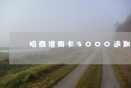招商信用卡3000逾期六个月 招商信用卡3000逾期六个月
