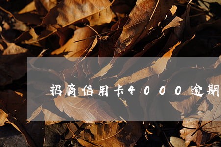 招商信用卡4000逾期3期