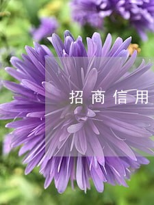 招商信用卡4万逾期3年 招商信用卡4万逾期3年