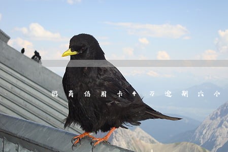 招商信用卡4万逾期六个月