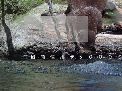 招商信用卡50000逾期半年 招商信用卡50000逾期半年