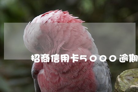 招商信用卡5000逾期半年 招商信用卡5000逾期半年
