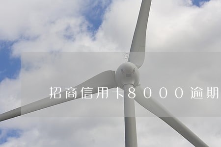 招商信用卡8000逾期1年