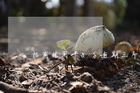 招商信用卡8千逾期三个月