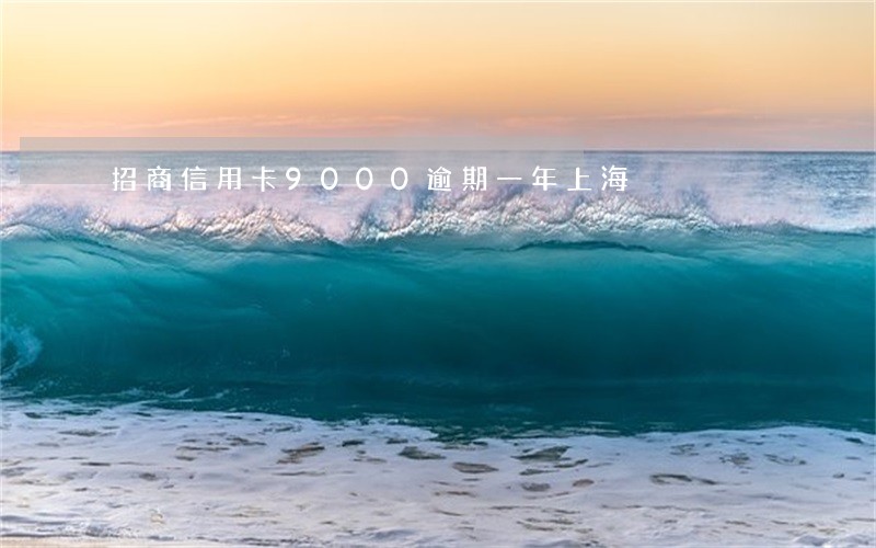 招商信用卡9000逾期一年上海 招商信用卡9000逾期一年上海