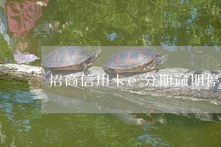 招商信用卡e分期逾期停卡 招商信用卡e分期逾期停卡