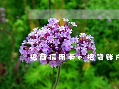 招商信用卡e招贷账户逾期 招商信用卡e招贷账户逾期