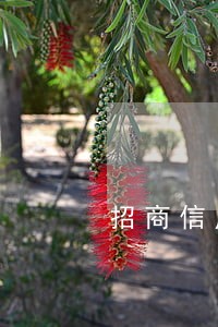 招商信用卡e招贷逾期4万 招商信用卡e招贷逾期4万