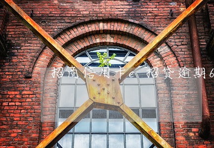 招商信用卡e招贷逾期6 招商信用卡e招贷逾期6