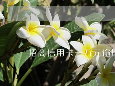 招商信用卡一万元逾期3个月