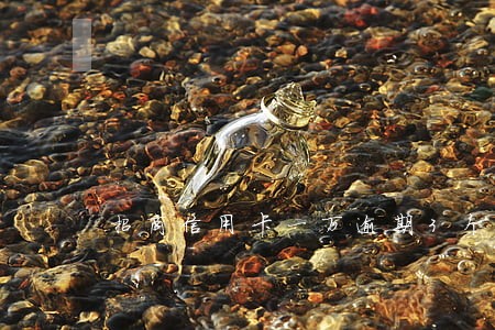 招商信用卡一万逾期3个月以上