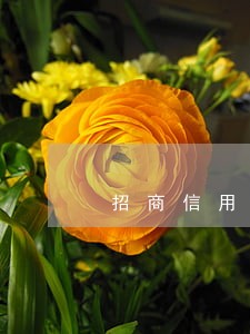 招商信用卡一天算逾期不 招商信用卡一天算逾期不