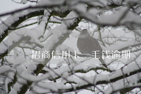 招商信用卡一毛钱逾期