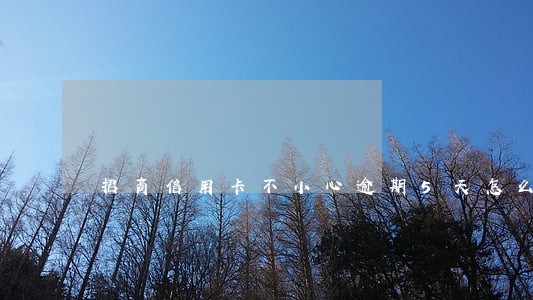 招商信用卡不小心逾期5天怎么办 招商信用卡不小心逾期5天怎么办