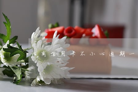 招商信用卡不小心逾期一天