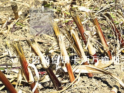 招商信用卡两万逾期三年 招商信用卡两万逾期三年