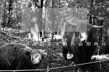 招商信用卡两万逾期两年了