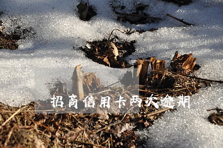 招商信用卡两次逾期 招商信用卡两次逾期