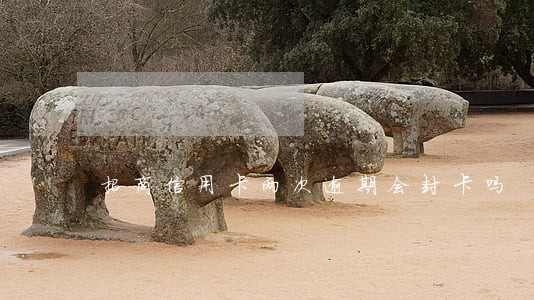 招商信用卡两次逾期会封卡吗 招商信用卡两次逾期会封卡吗