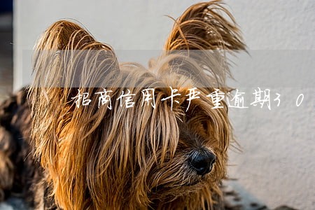 招商信用卡严重逾期3000 招商信用卡严重逾期3000