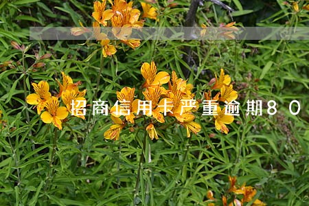 招商信用卡严重逾期8000