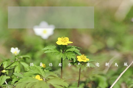 招商信用卡严重逾期失联 招商信用卡严重逾期失联