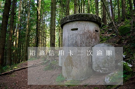 招商信用卡二次逾期 招商信用卡二次逾期