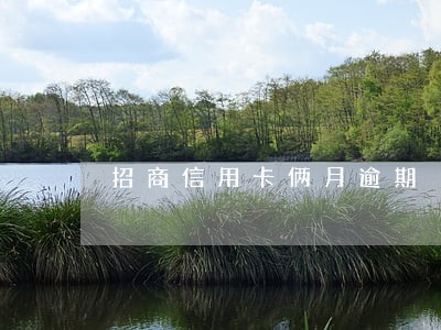 招商信用卡俩月逾期