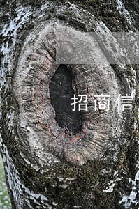 招商信用卡免费逾期3天 招商信用卡免费逾期3天